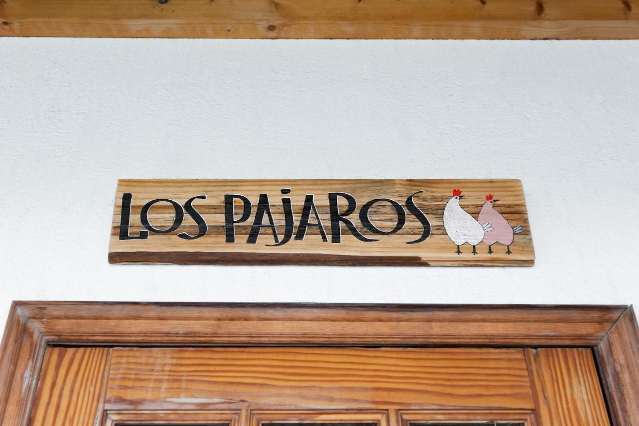 Los Pajaros Santa Cruz de Tenerife Exteriér fotografie